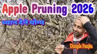 प्रूनिंग करते समय ध्यान देने वाली बातें / Apple Plant Pruning 2026 / Dimple Panjta / @bagwanikibaat 
