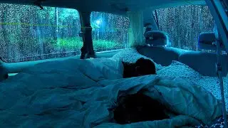 Car Rain Ambience for Better Sleep &ndash; Soft Raindrops on the Car Roof and Windows