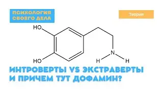 Интроверты тоже делают бизнес или это про резких и быстрых?