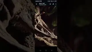 Nature &  creation