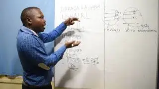 Class 7 - Kiswahili (Ushairi)