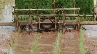 Máy cấy kéo tay liên hoàn
