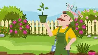San Diego Landscaping Johns Lawn and Garden