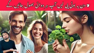 Brahmi Booti Uses You Must Know | Boost Memory, Focus, and Well-being Naturally! - برہمی بوٹی