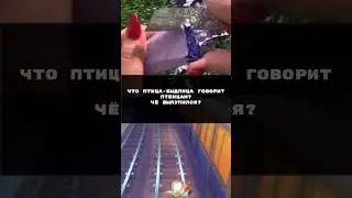 «Птица-быдлица» - Анекдот | #shorts #приколы #юмор #tiktok #tiktokviral #viral #subscribe #funny