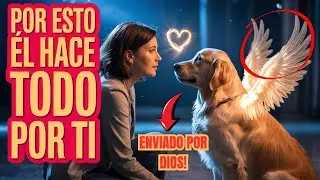 10 Señales que REVELAN que no Vives con un Perro, sino con un Ángel