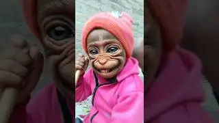 Monkey group 😂 #shortsfeed #funny #trending #shorts