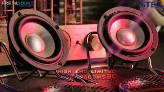 HIGH END LIMITED MIDRANGE STEG MS30 MASTER STROKE SERIES 4K (INT)