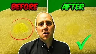 How To Clean Vomit From Carpet without DESTROYING it