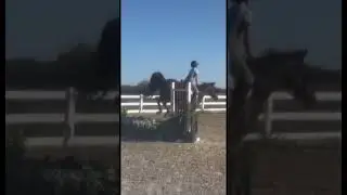 Dm the swap lol #godisgood #horse #equestrian #horseriding #riding #horsejumping #viral #dihp