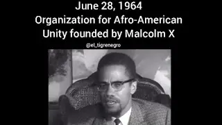 Malcolm X & his Organization for Afro-American Unity (OAAU)