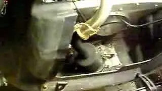 Jaws Performance Can