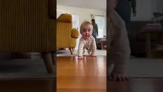 Baby Curiosity Creates Cute Moment #viral #trending #short