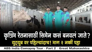कृत्रिम रेतनासाठी सीमेन कसं बनवलं जाते ! Genus Breeding ABS India Comapny Tour । Great Maharashtra