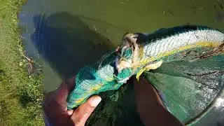 Hoje foi s&oacute; na peneira.