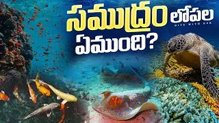 What If Ocean Exploration Uncovers a HIDDEN WORLD? @divewithpsr