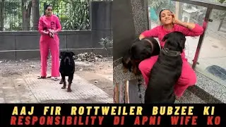 Aaj Rottweiler Bubzee Ki Responsibility Di Apni Wife Ko !!!! 