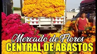 ASI ES EL MERCADO DE FLORES EN LA CENTRAL DE ABASTOS TOLUCA / SAN CRIST&Oacute;BAL HUICHOCHITL&Aacute;N TOLUCA MEX