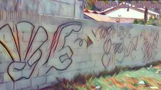 Byrd Daddy Cool Breeze - GangBanger