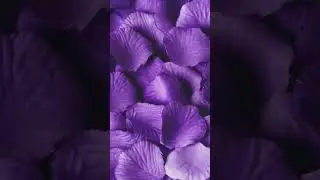 Just Beats!!!///Fea. Artist🎛️Strange Plug Beats *BEWARE!!!// jusbeatzradio🎙️🎚️🎧🔥🔥🔥