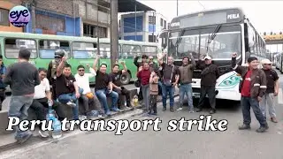 Protesters clash with police in Lima as Peru transport strike over rising crime causes disruption