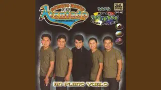 Presentacion En Vivo