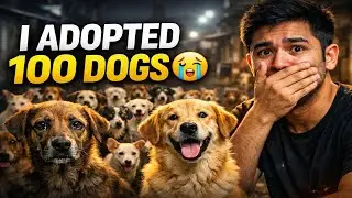 Adopting 100 Dogs Was the Hardest Decision of My Life 🐶❤️
