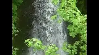 Shepherd's Dell #1 (Columbia River Highway)