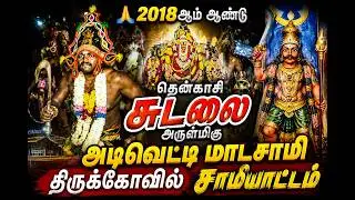 தென்காசி மேலகரம் ஸ்ரீ அடிவெட்டி மாடசாமி திருக்கோவில் சக்திவாய்ந்த சாமியாட்டம் 🙏🔥 #Tenkasi #Melagaram