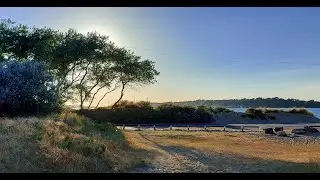 Open-Top Bus Ride from Bournemouth to Shell Bay