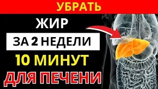 Как поддержать здоровье печени_ простая утренняя привычка за 10 минут _ здоровье пожилых