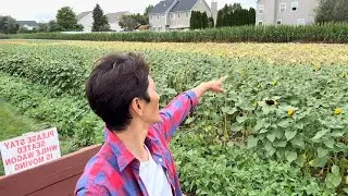 Schmitt&rsquo;s Family Farm  Long Island) #newyork #halloween #tibetanvlogger #kids 