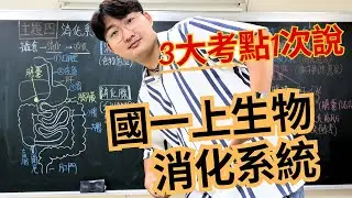 3-4 國一上生物【消化系統| 3大考點】考點翔細說