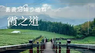 嘉義石棹步道群霞之道 15分鐘輕鬆漫步茶園 飽覽綿延山嵐