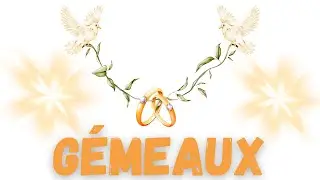 GEMEAUX La déclaration de cette personne va vous laisser sans voix...💖 Février 2026
