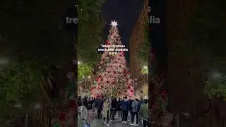 Tallest Christmas Tree in SYDNEY 😍🎄🎁 | Martin Place #shorts #travel #christmas #Christmastree