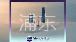 Pudong, one of the most attractive districts in Shanghai, opens arms to global investment