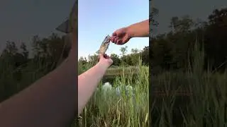 Fishing with James at my favorite spot loaded with bass