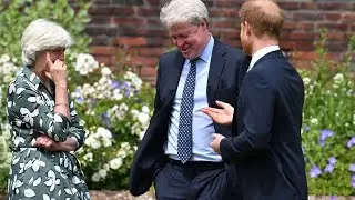 Prince Harry's rift with Princess Diana's family is revealed after Meghan Markle's 'bitter' advice