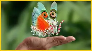 10 INSECTOS m&aacute;s HERMOSOS del mundo