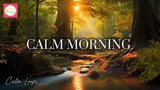 🌿Calm Morning &ndash; Meditation Music & Forest Nature Sounds | Yoga, Relaxation, Mindfulness