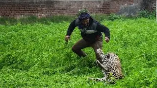 Leopard attack in public punjab (2019)
