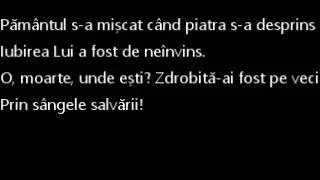 Vesnic Aleluia Negativ