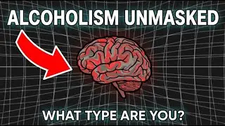 The Alcoholic Categories That Change How You See Recovery