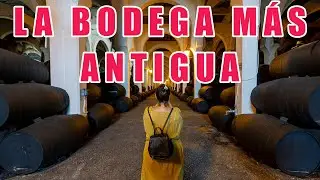 ESTA es la bodega MÁS antigua de Jerez | dónde se CREÓ el Brandy