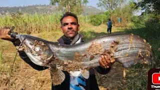 Big monster pathan Fish Catch to haidarbadi spoon #fishing #KADAR BHAI FISHING 