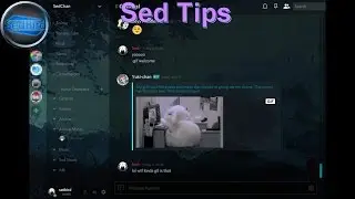 Sed Tip: How to install themes in discord