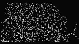 Sordid Oozing Opening - Demo 2026 [Death Grind]