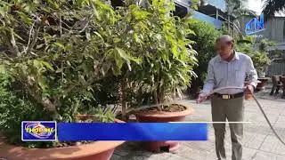 Đại hội Đảng XIV - Nông dân Tây Ninh kỳ vọng vào “làn gió mới” | TayNinhTV