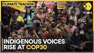 Indigenous Communities Demand Equal Representation Ahead Of COP30 Summit | WION Climate Tracker